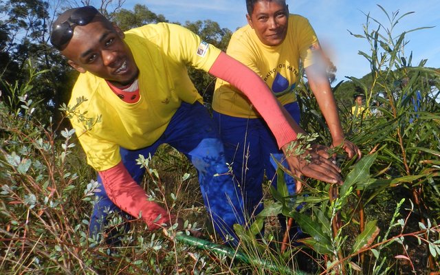 ABI Alien clearing new7